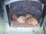 Picture of Wood fired Pizza Oven - PORTO 100cm